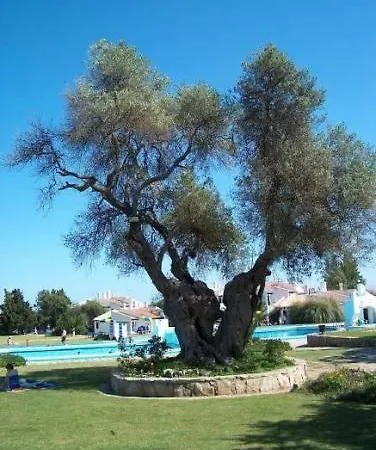 Pedras Del Rei Studio Tavira Esterno foto