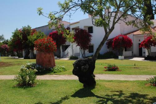 Pedras Del Rei Holiday home
